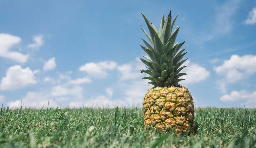 Homeowners insurance premiums see first deceleration since 2019